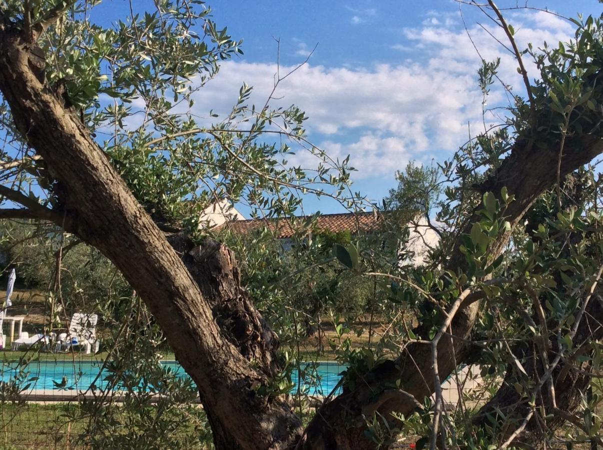 Tenuta Don Ballore Galtelli Exterior photo